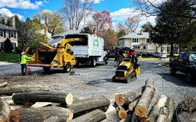 Best Commercial Tree Services  in Middletown, OH