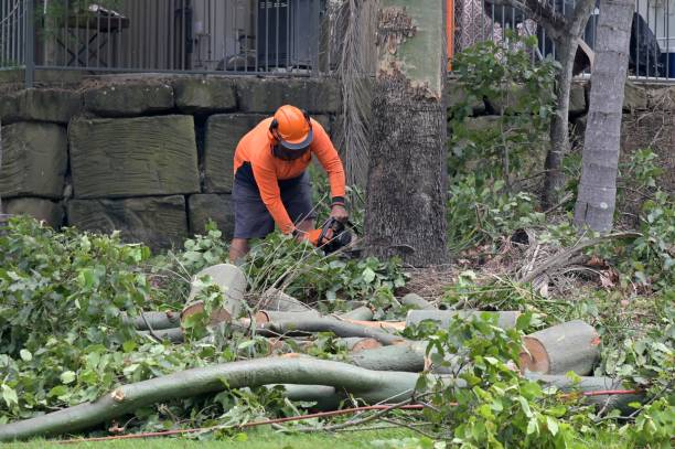 Best Utility Line Clearance  in Middletown, OH